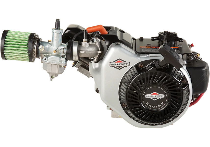 Briggs & Stratton World Formula Engine