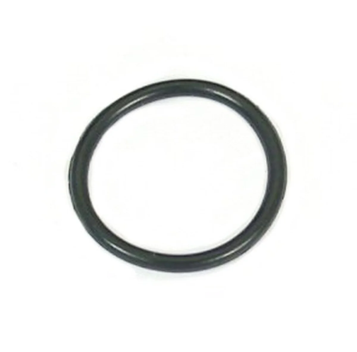 Cam Tensioner Bolt O-ring