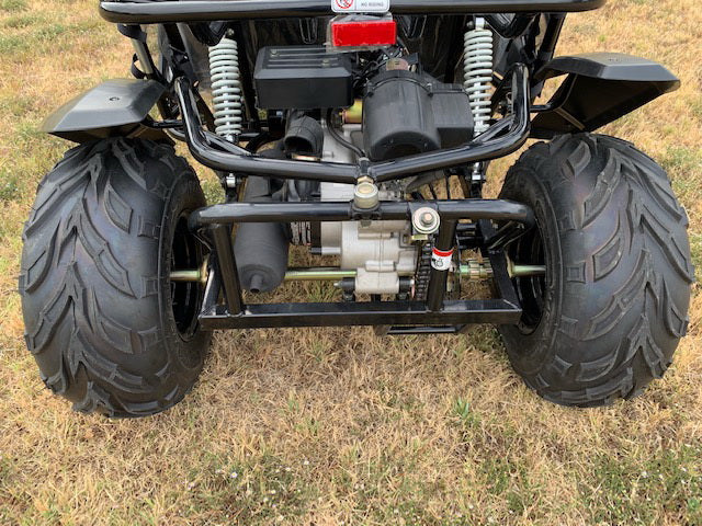 TrailMaster Cheetah 200 Full Size Buggy Go Kart, CVT Automatic with Reverse - Image 10