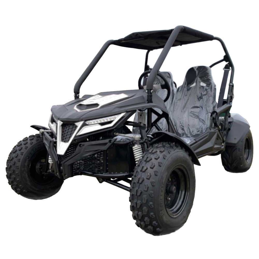TrailMaster Cheetah 200E EFI Buggy Go Kart, CVT Automatic with Reverse - Image 2