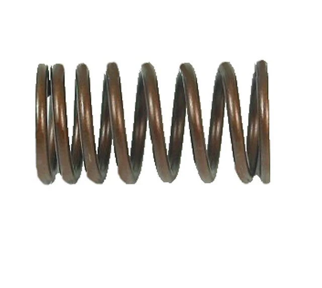 Outer Valve Spring for 250cc 4-stroke Water-cooled Engines