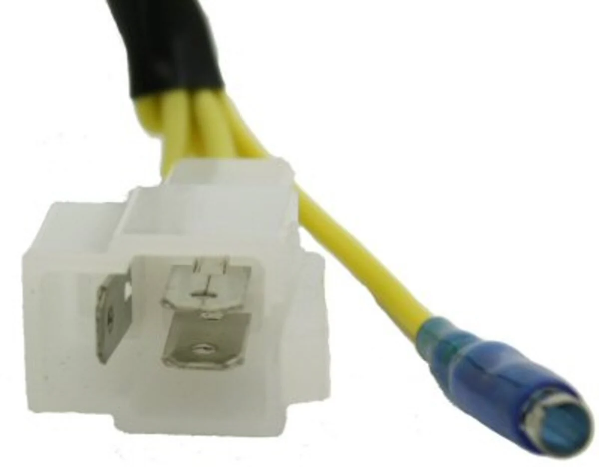 250cc 18 Coil Stator/Magneto - Image 3
