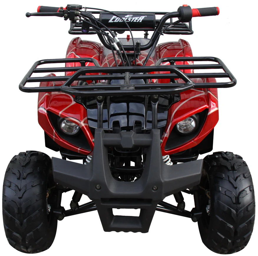 Mini 125cc Utility Style ATV, Electric Start, Automatic with Reverse, 7-inch Wheels, Ages 9-12 - Image 12