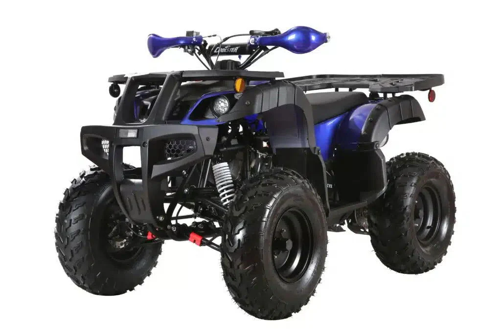 Coolster (3200U) 200cc Utility ATV, Electric Start, Automatic with Reverse, 10-inch Steel Wheels - Image 2