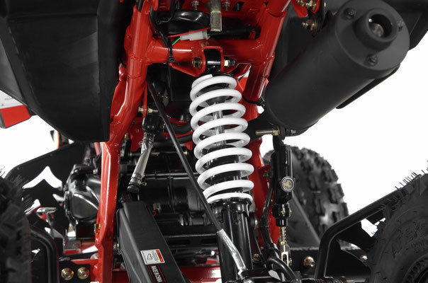 Falcon X 125cc Sport ATV, Semi Automatic with Reverse, Hydraulic Disc Brakes, Ages 12 and up - Image 7