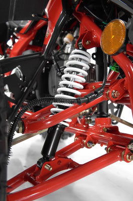Falcon X 125cc Sport ATV, Semi Automatic with Reverse, Hydraulic Disc Brakes, Ages 12 and up - Image 9