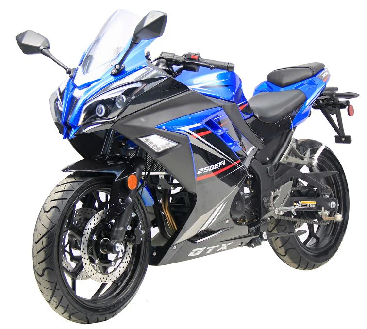 GTX 250 EFI Street Motorcycle, 6-Speed Manual - Image 10
