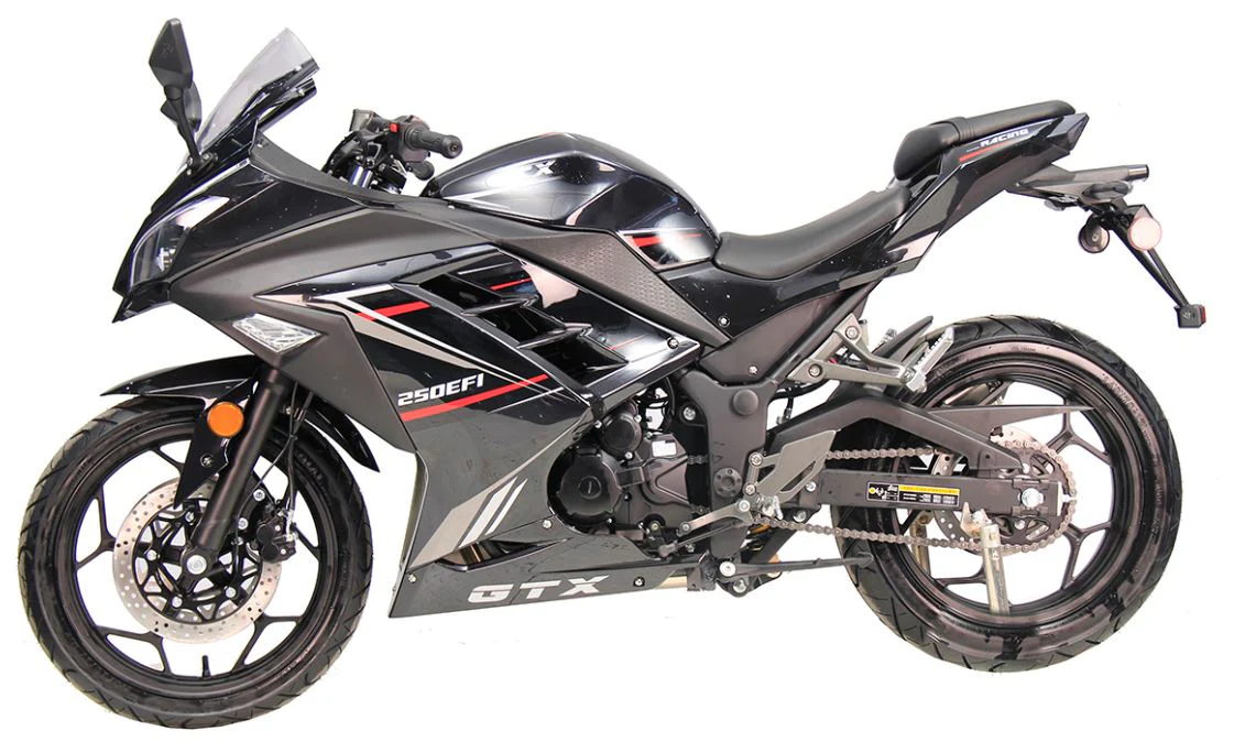 GTX 250 EFI Street Motorcycle, 6-Speed Manual - Image 11