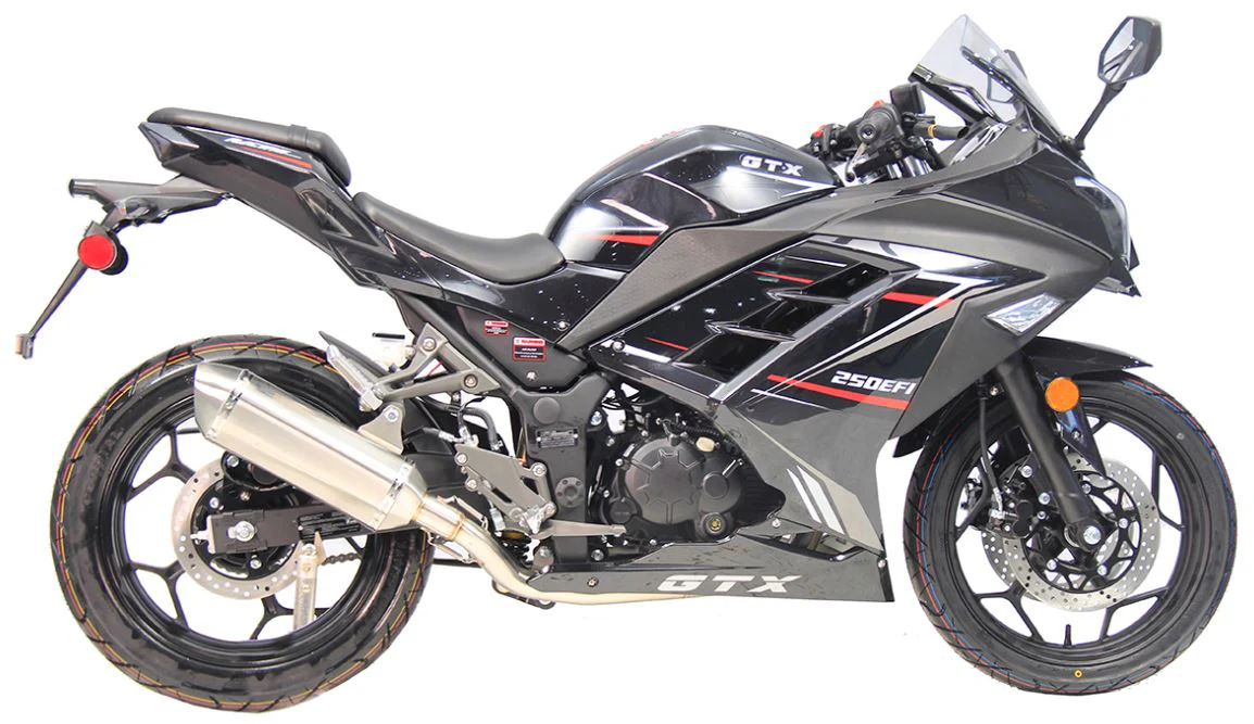 GTX 250 EFI Street Motorcycle, 6-Speed Manual - Image 12