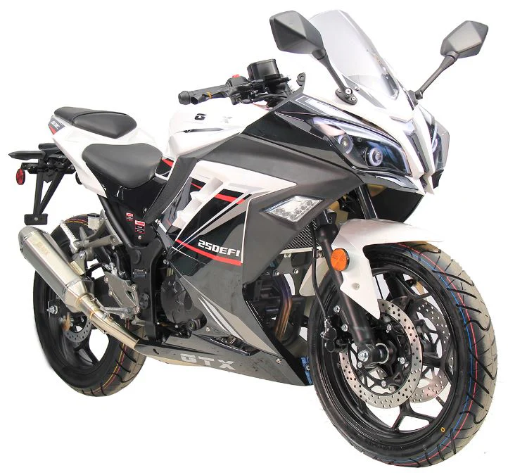 GTX 250 EFI Street Motorcycle, 6-Speed Manual - Image 5