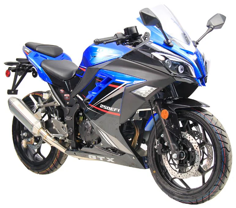 GTX 250 EFI Street Motorcycle, 6-Speed Manual - Image 9