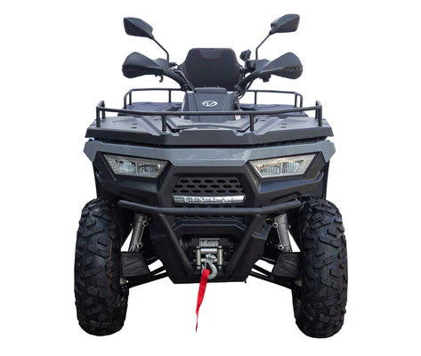 Monster F320 300cc EFI Utility 4x4 ATV, H/L Gear Automatic with Reverse - Image 5