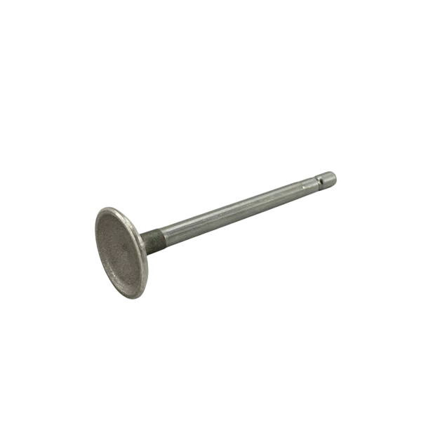 OEM Briggs & Stratton Intake Valve - Animal