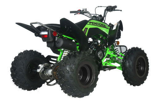 Pentora 200cc EFI Sport ATV, Fully Auto with Reverse - Image 8