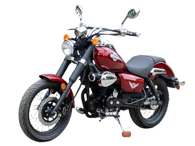 Raider 250 Street Motorcycle, 5-Speed Manual - Image 2