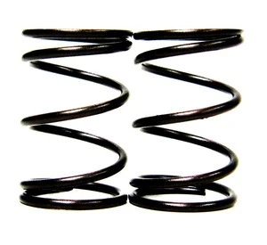 Springs, Valve, 10.8lb, Genuine Honda, Take-Off, Pair