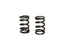 Springs, Valve, HD, 48lb Single (Blue Stripe), GX270, GX390s & 420 Predators, Pair