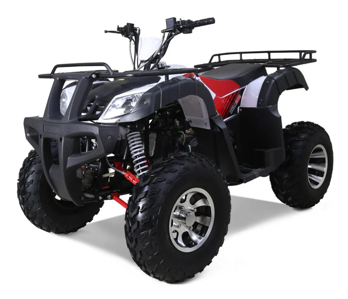 Tao Bull 200cc Utility ATV, Electric Start, Automatic with Reverse, 10-inch Wheels