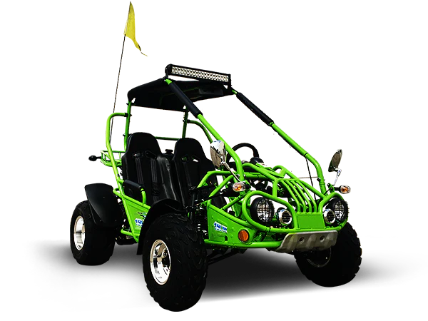 TrailMaster 200 XRX Deluxe Buggy Go Kart, Alloy Wheels, Lights, Turn Signals - Image 12