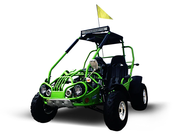TrailMaster 200 XRX Deluxe Buggy Go Kart, Alloy Wheels, Lights, Turn Signals - Image 14