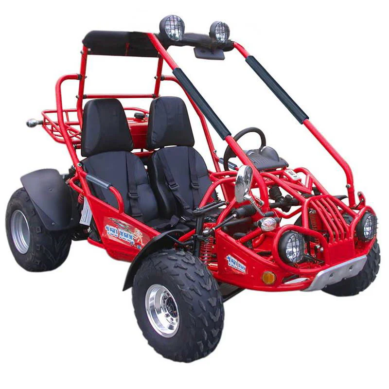 TrailMaster 200 XRX Deluxe Buggy Go Kart, Alloy Wheels, Lights, Turn Signals - Image 3