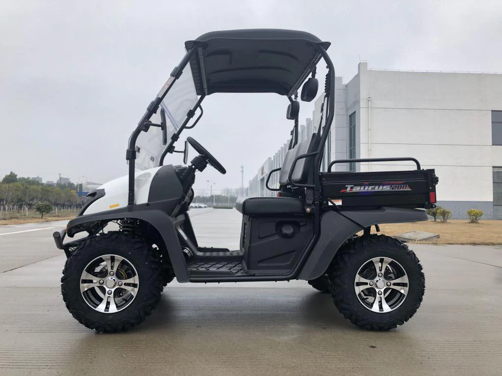 TrailMaster Taurus 200E-U EFI Gas UTV Shaft Drive, High/Low Gear Alloy Wheels, Fuel Injected - Image 26