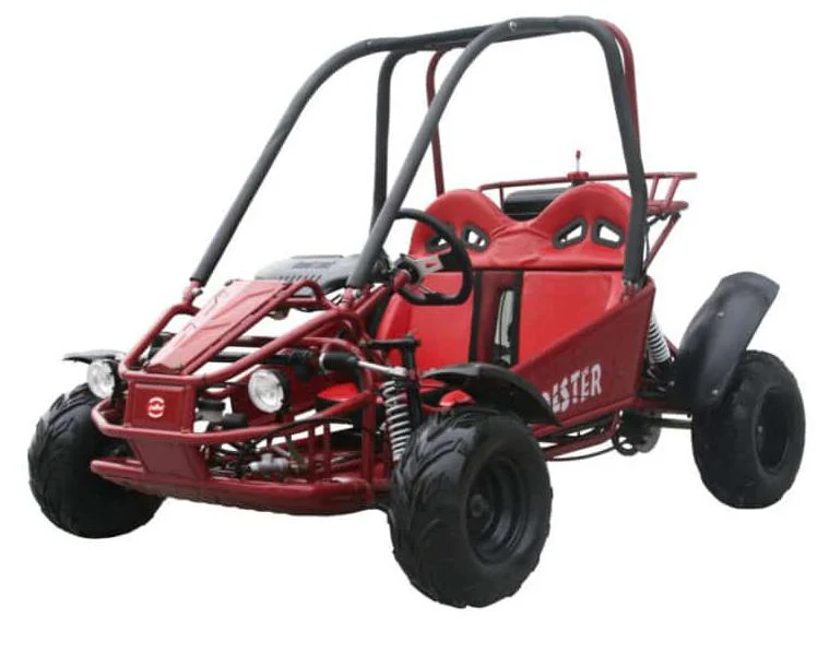 Twister 125cc Kids Gas Powered Go Kart, Electric Start, Automatic with Reverse, Ages 6 and up - Image 3