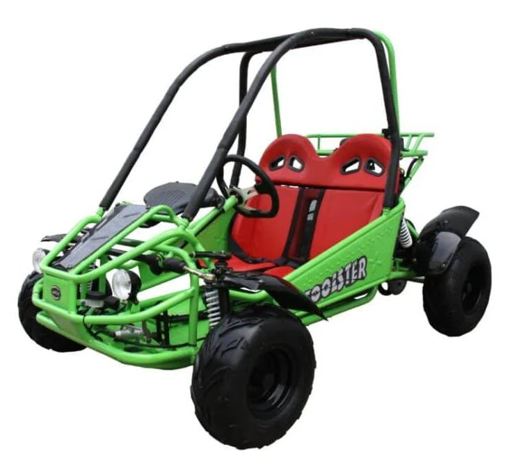 Twister 125cc Kids Gas Powered Go Kart, Electric Start, Automatic with Reverse, Ages 6 and up - Image 5