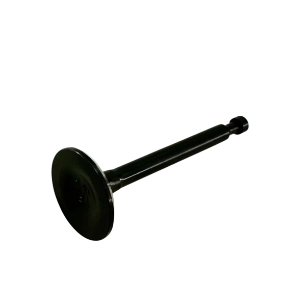 Valve, 24mm, Exhaust, BSP Racing ''Clone''