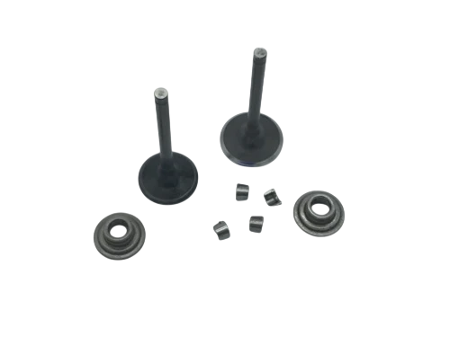Valve Set, 212 Predator with 5mm Stems
