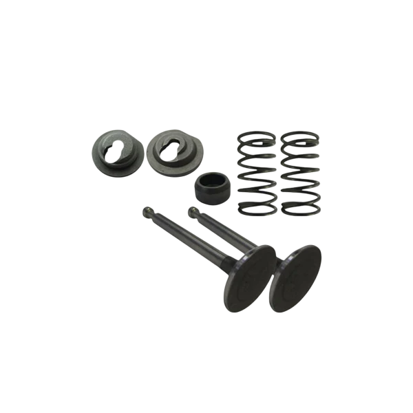 Valve Set, 6.5 BSP ''Clone''