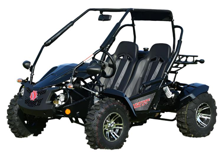 Venture 200 EFI Buggy Go Kart, Electric Start, Automatic with Reverse, Ages 16 and up - Image 3