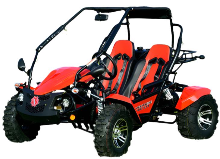 Venture 200 EFI Buggy Go Kart, Electric Start, Automatic with Reverse, Ages 16 and up - Image 4