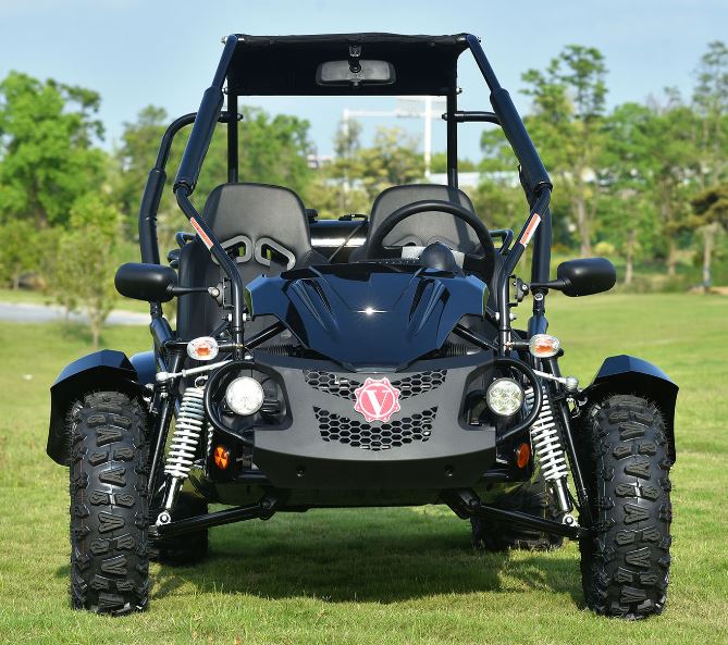 Venture 200 EFI Buggy Go Kart, Electric Start, Automatic with Reverse, Ages 16 and up - Image 5