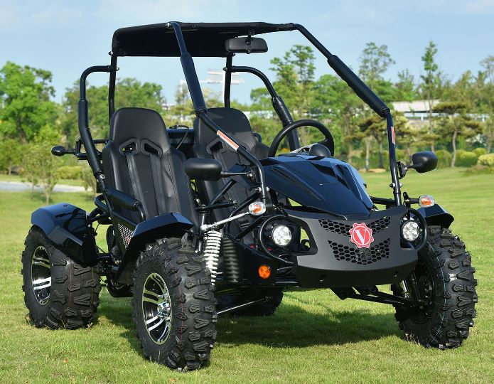 Venture 200 EFI Buggy Go Kart, Electric Start, Automatic with Reverse, Ages 16 and up - Image 6