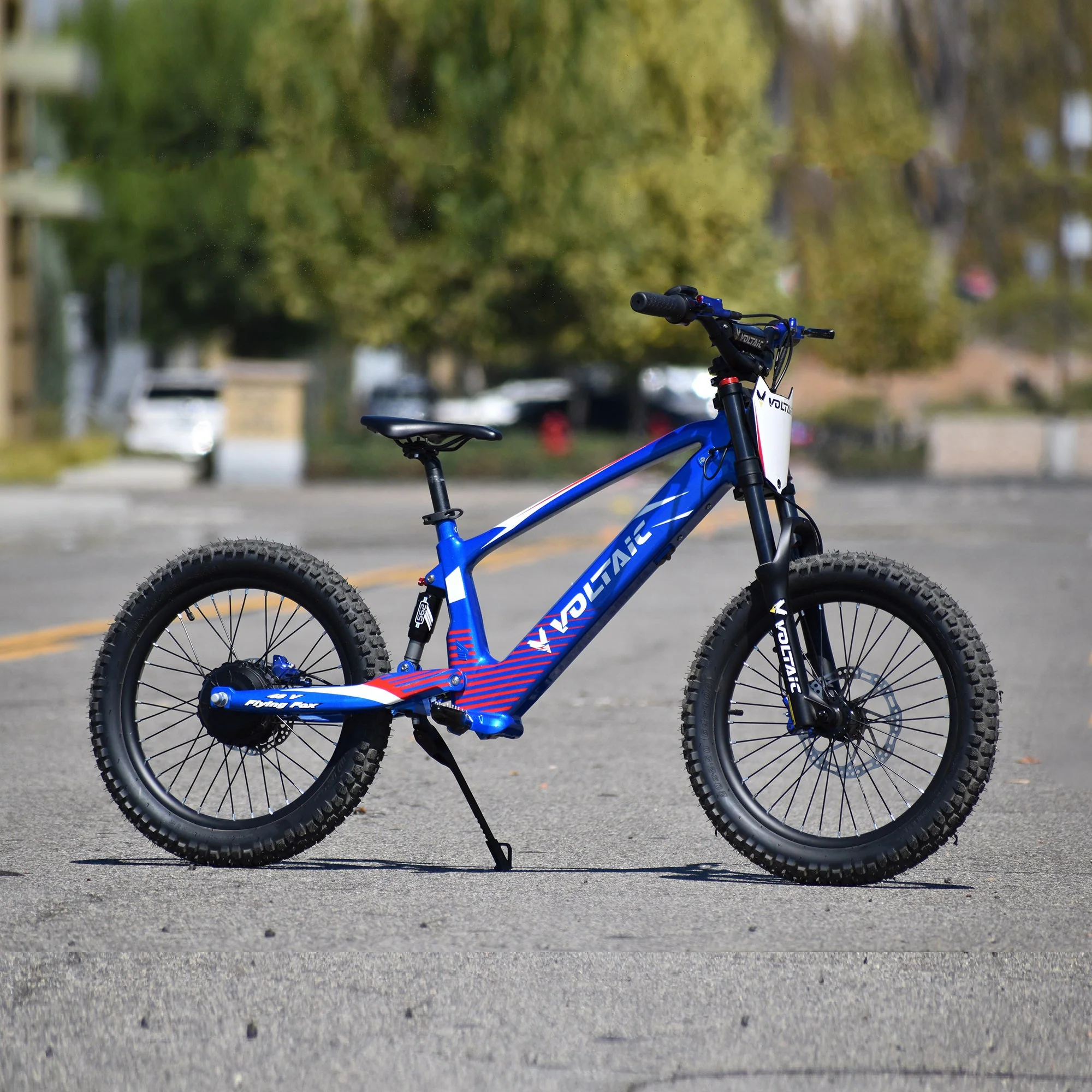 Voltaic Youth Electric Dirt Bike 20'' Flying Fox 48V - Image 19